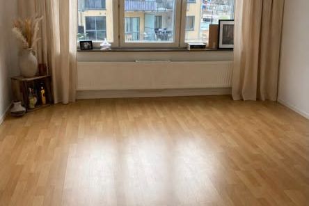 Ljus 1,5:a i Vega nära pendeln