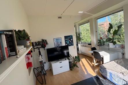 Möblerad etta i Irrblosset nära Campus