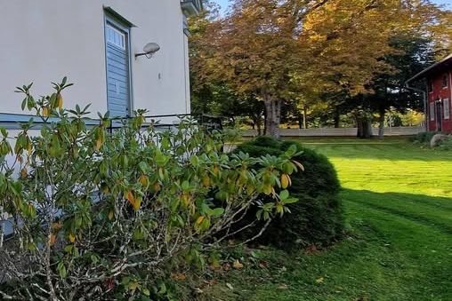 1 rok i Slaka – nära universitetet