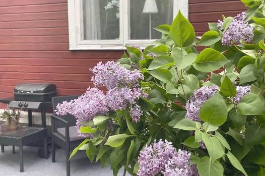 Rymlig 4:a i Filipstad centrum