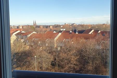 Etta i Uppsala med slott & domkyrkevy
