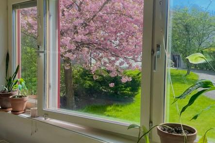 Möblerad studentetta vid Marklandsgatan