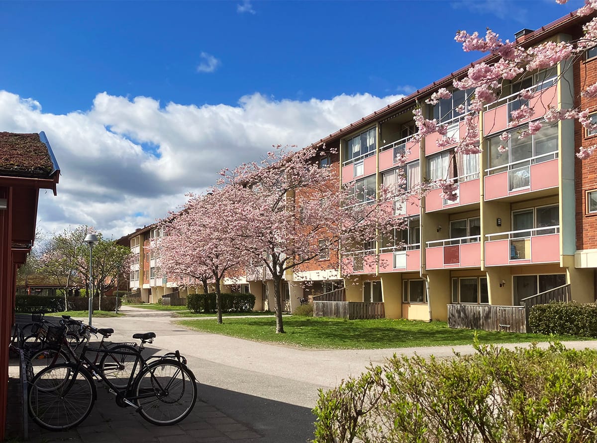 Midgård 9 E – bild 5