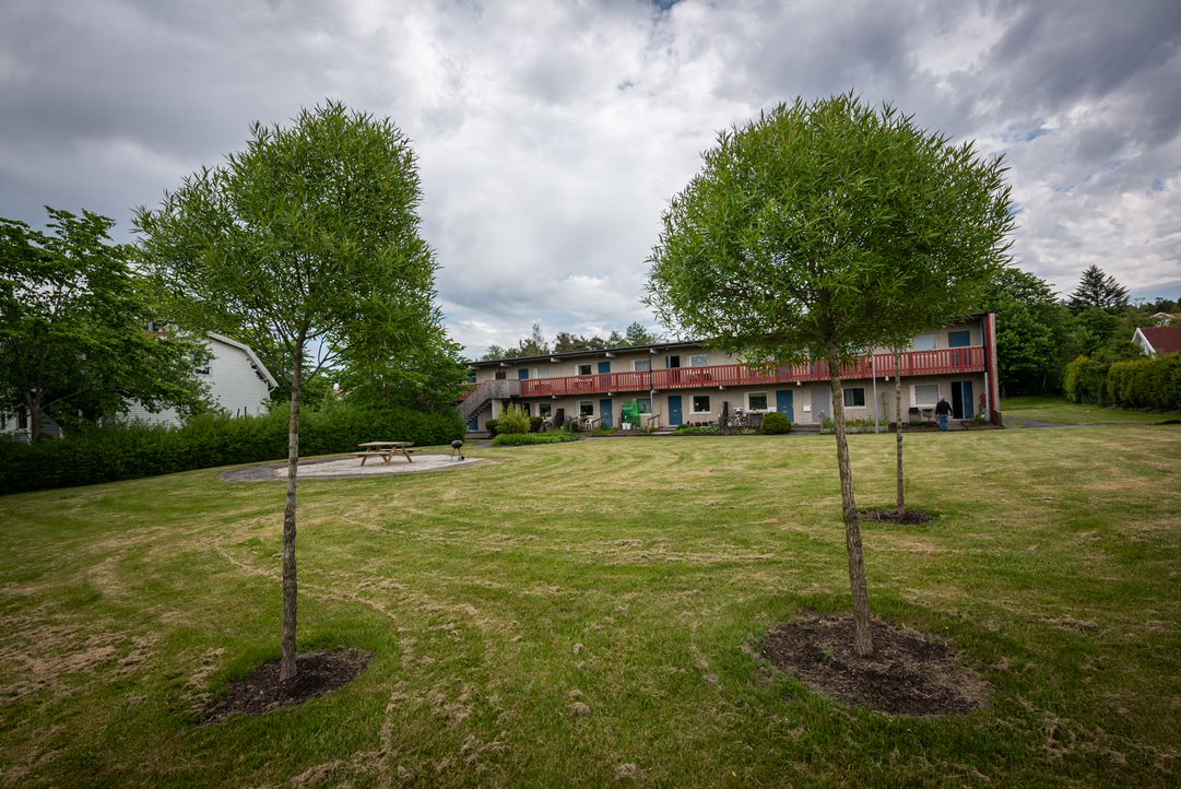 Trädgårdsvägen  5 – bild 2