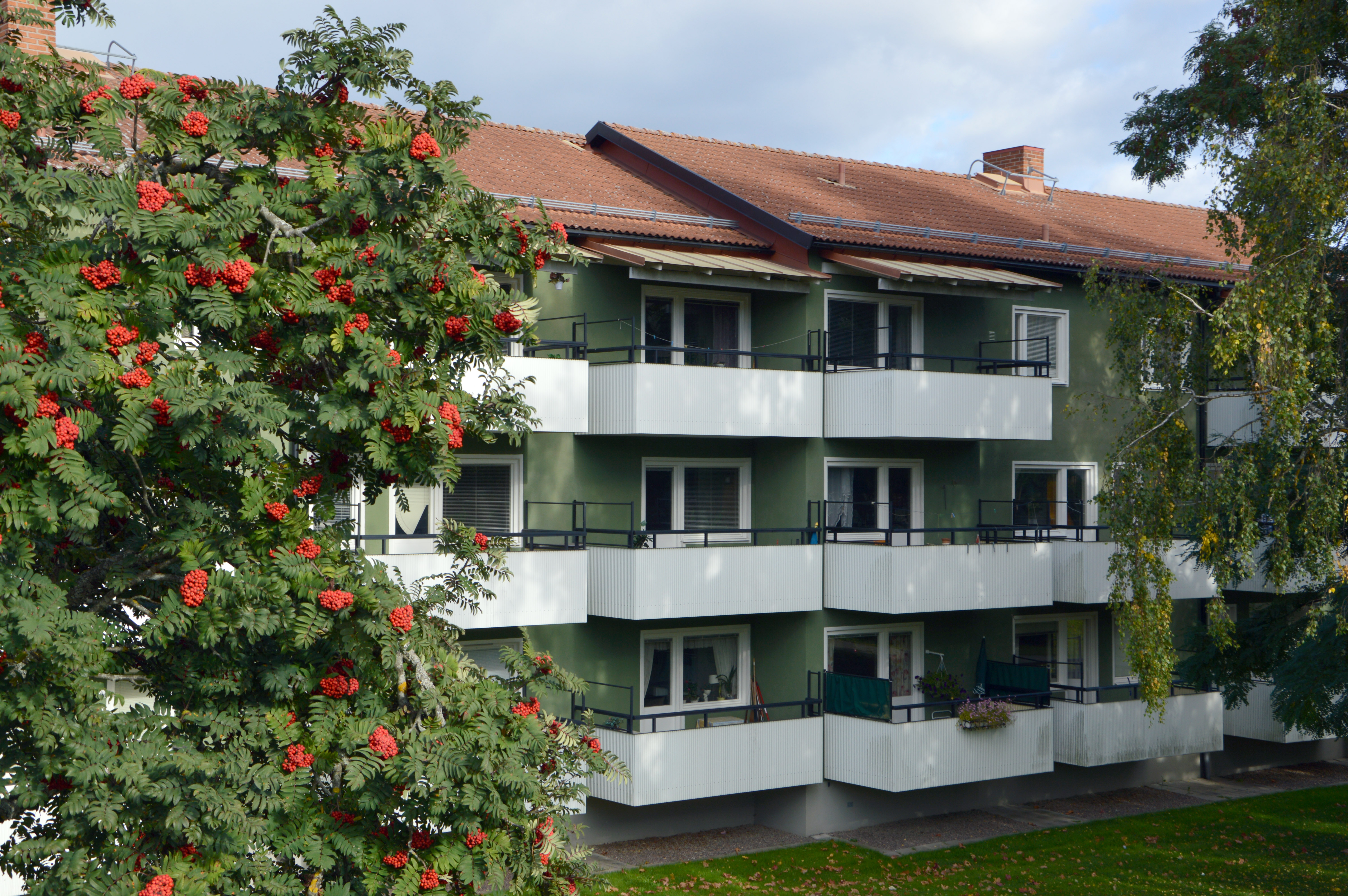 Skolgatan 6 B