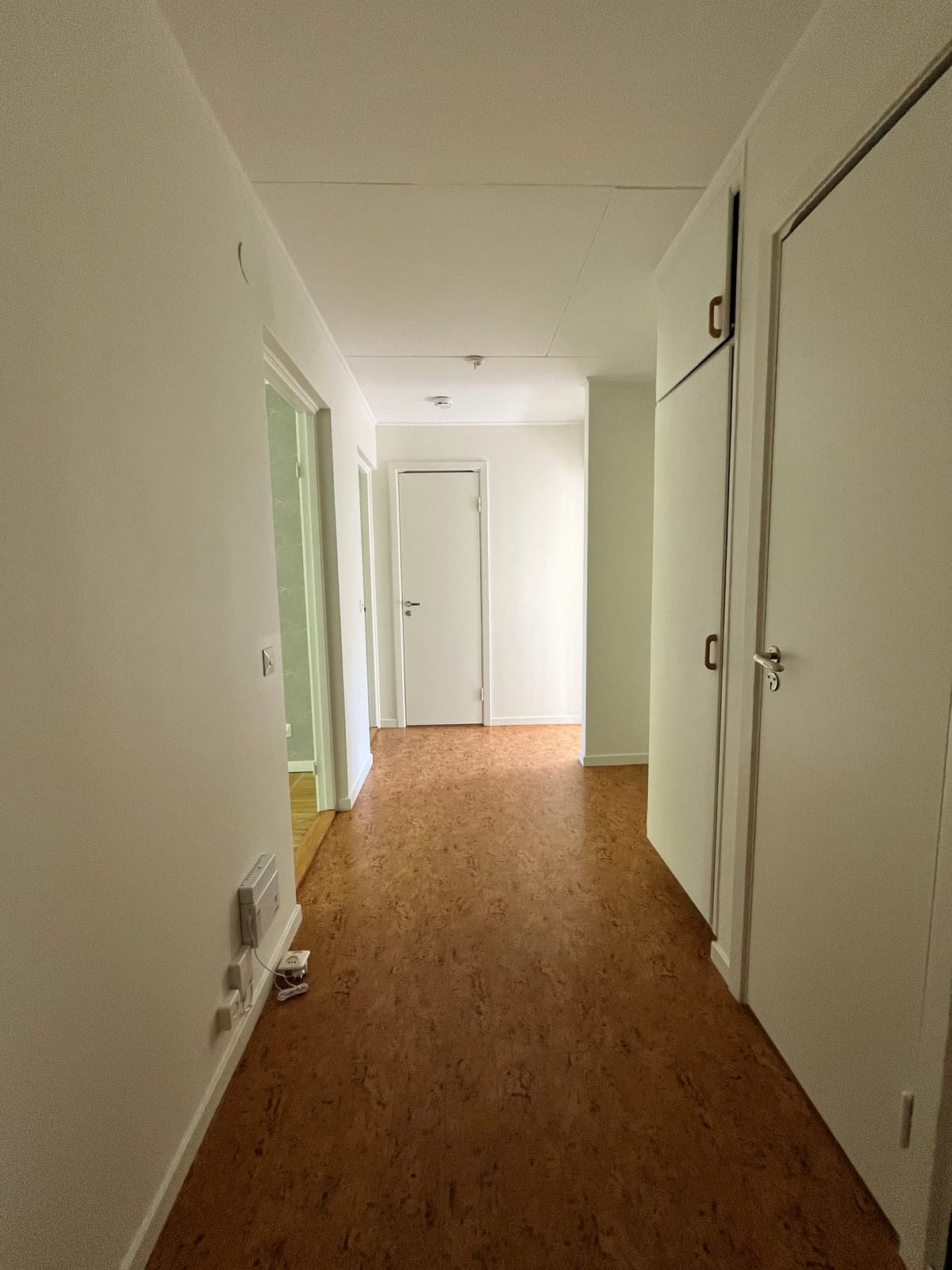 Ängsgatan   6 C