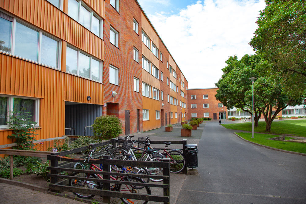 Albogatan 10