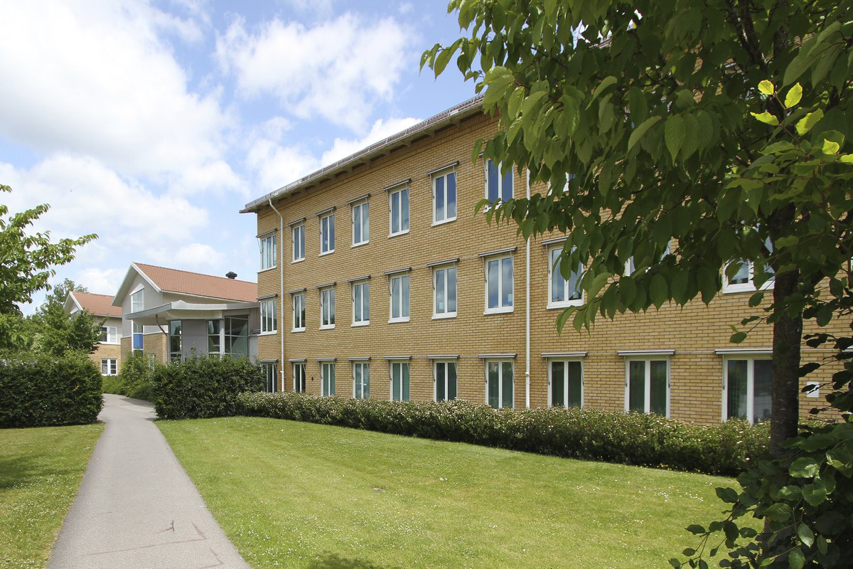 Vejdes plats 2 – bild 2