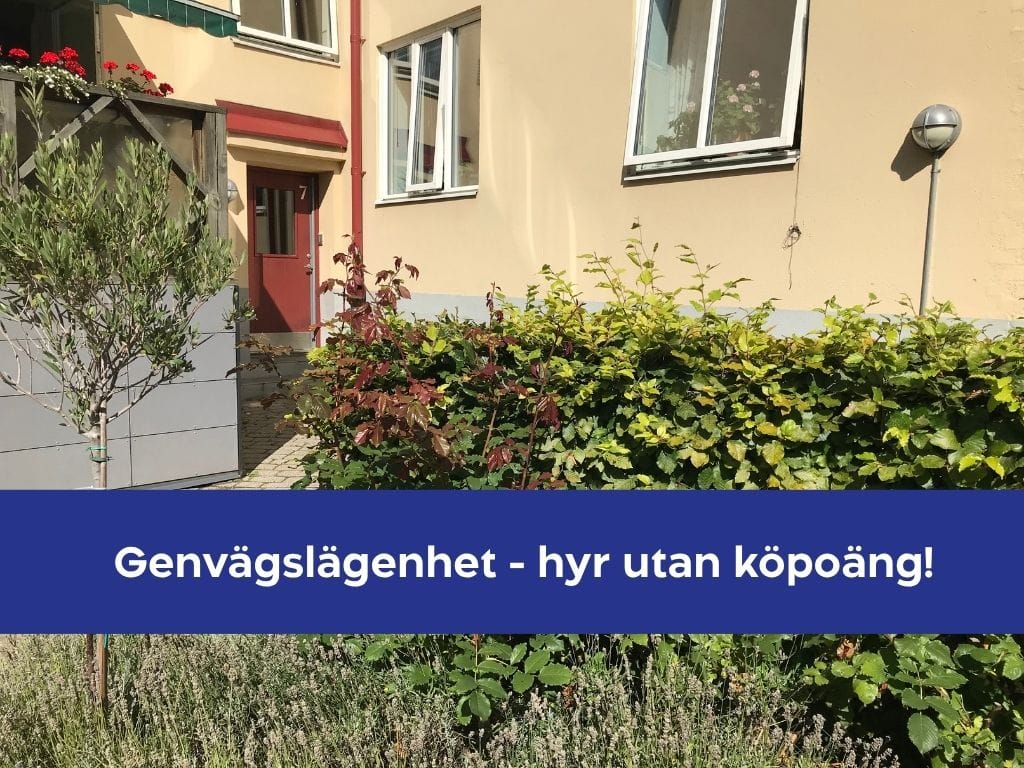 Murargränden 7