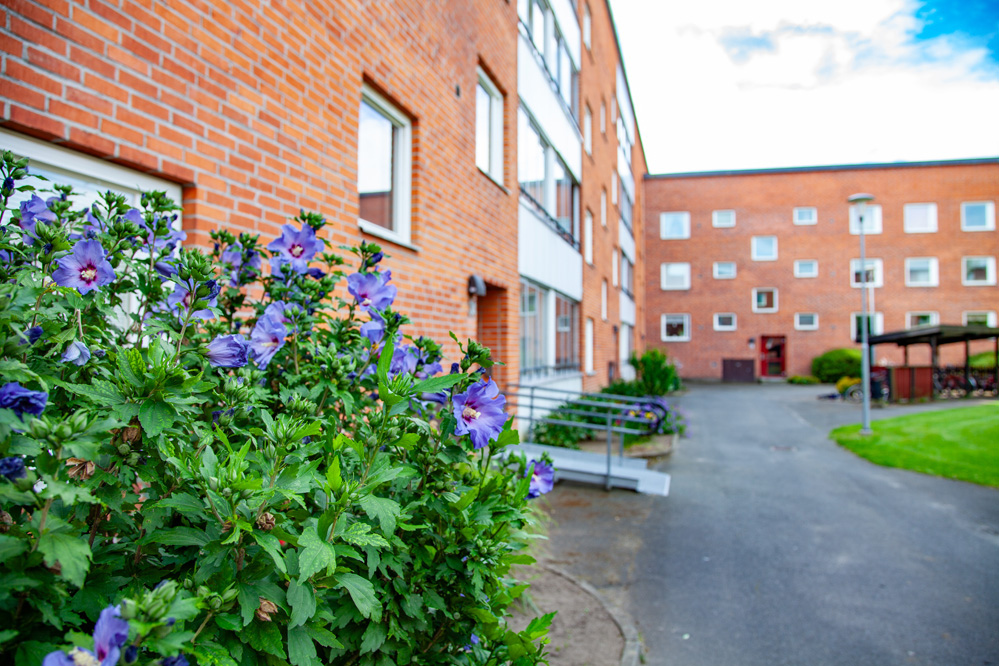 Göingegatan 34