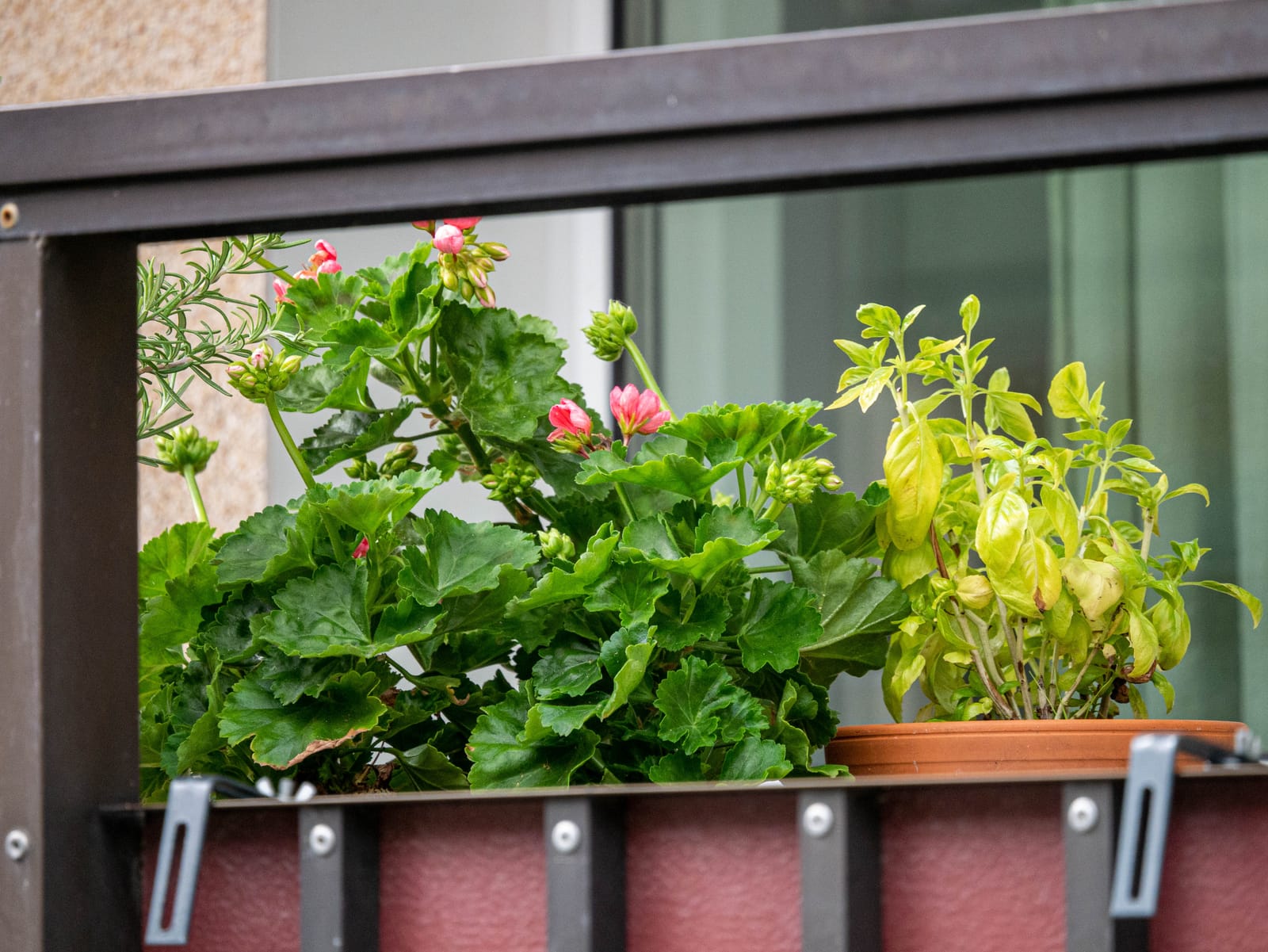 Belfragegatan 34 B – bild 5