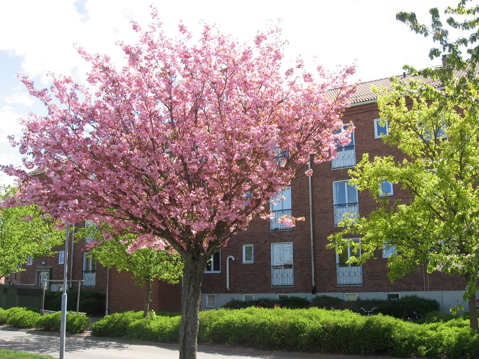 Kaplansgatan 5