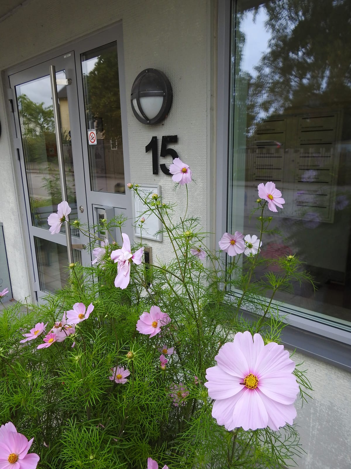 Storgatan  8 – bild 2