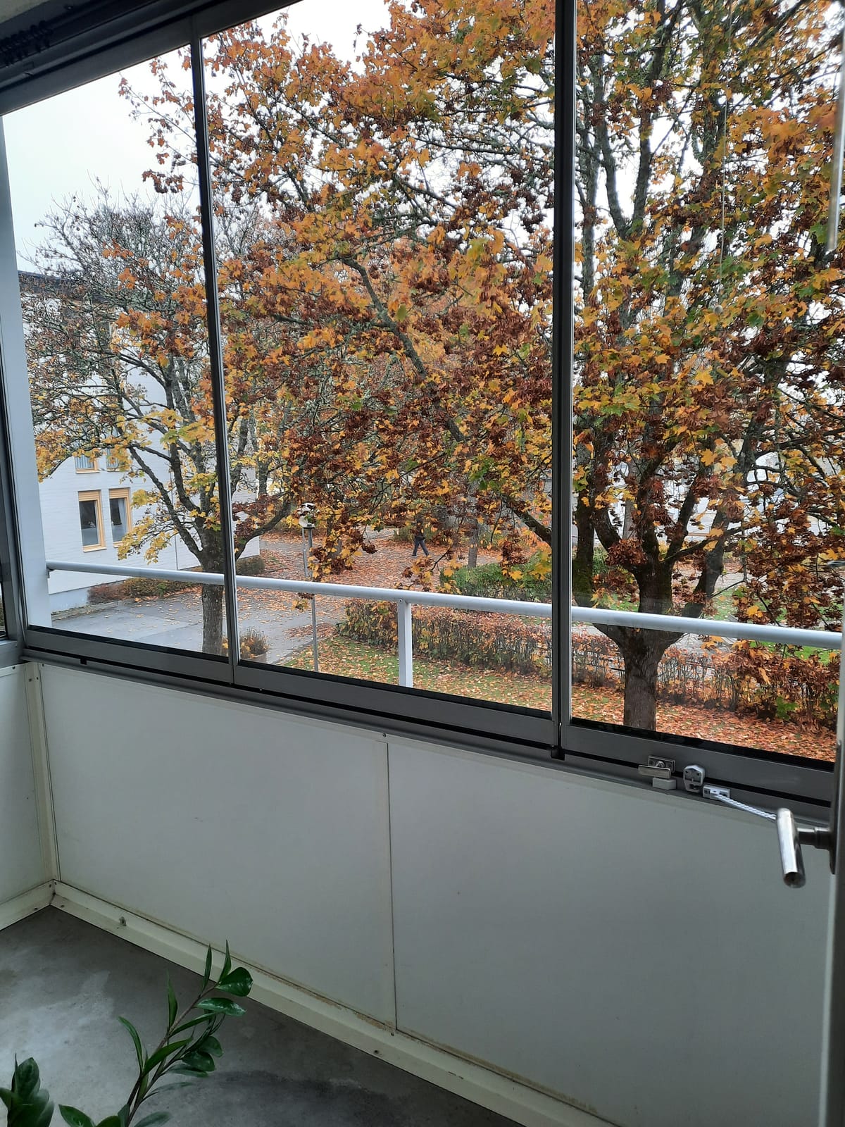 Tornfalkgatan 123 – bild 3