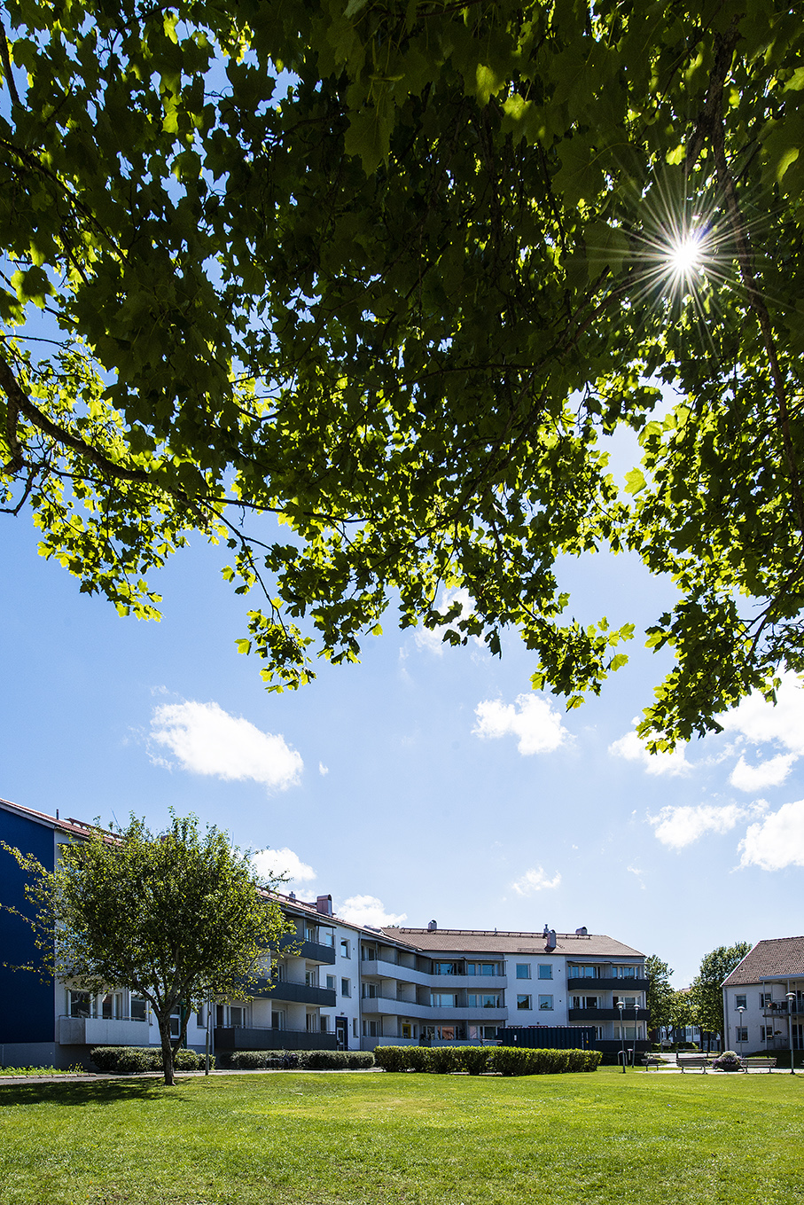 Wetterlinsgatan  23  J – bild 2