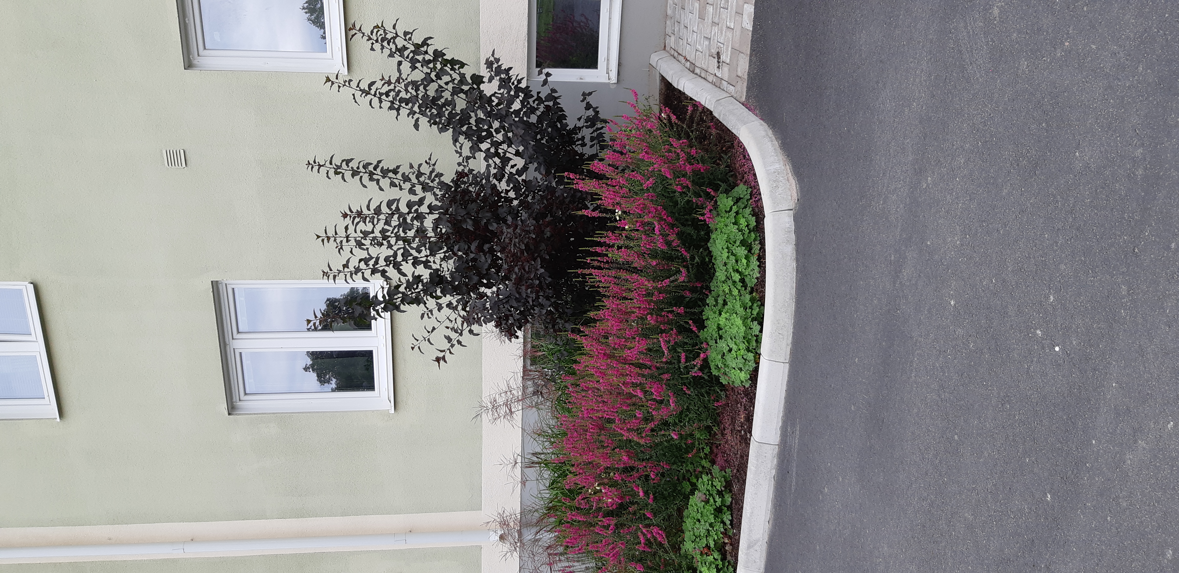 Kaplansgatan 7 A – bild 5