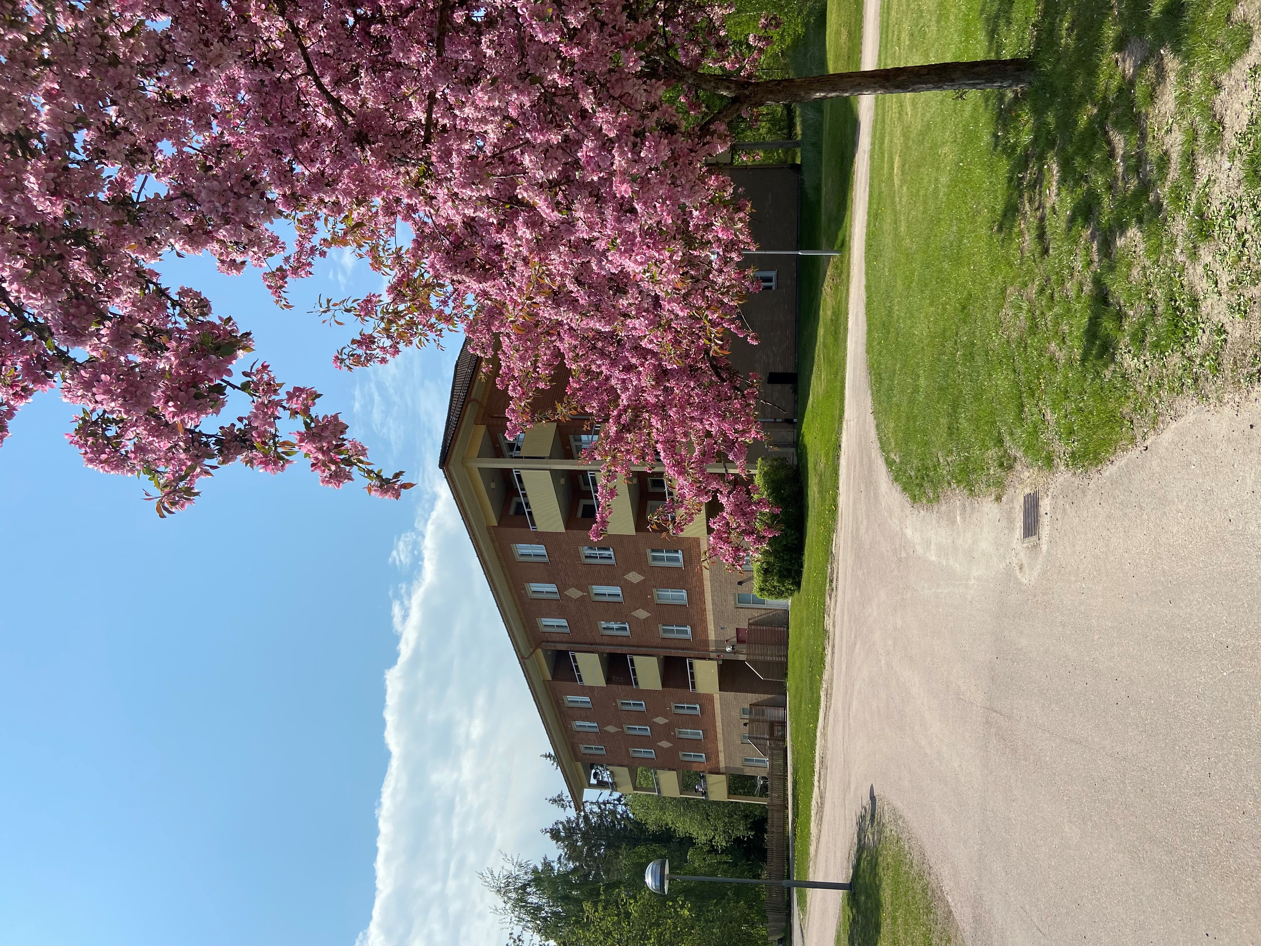 Stjärngatan 3 – bild 3