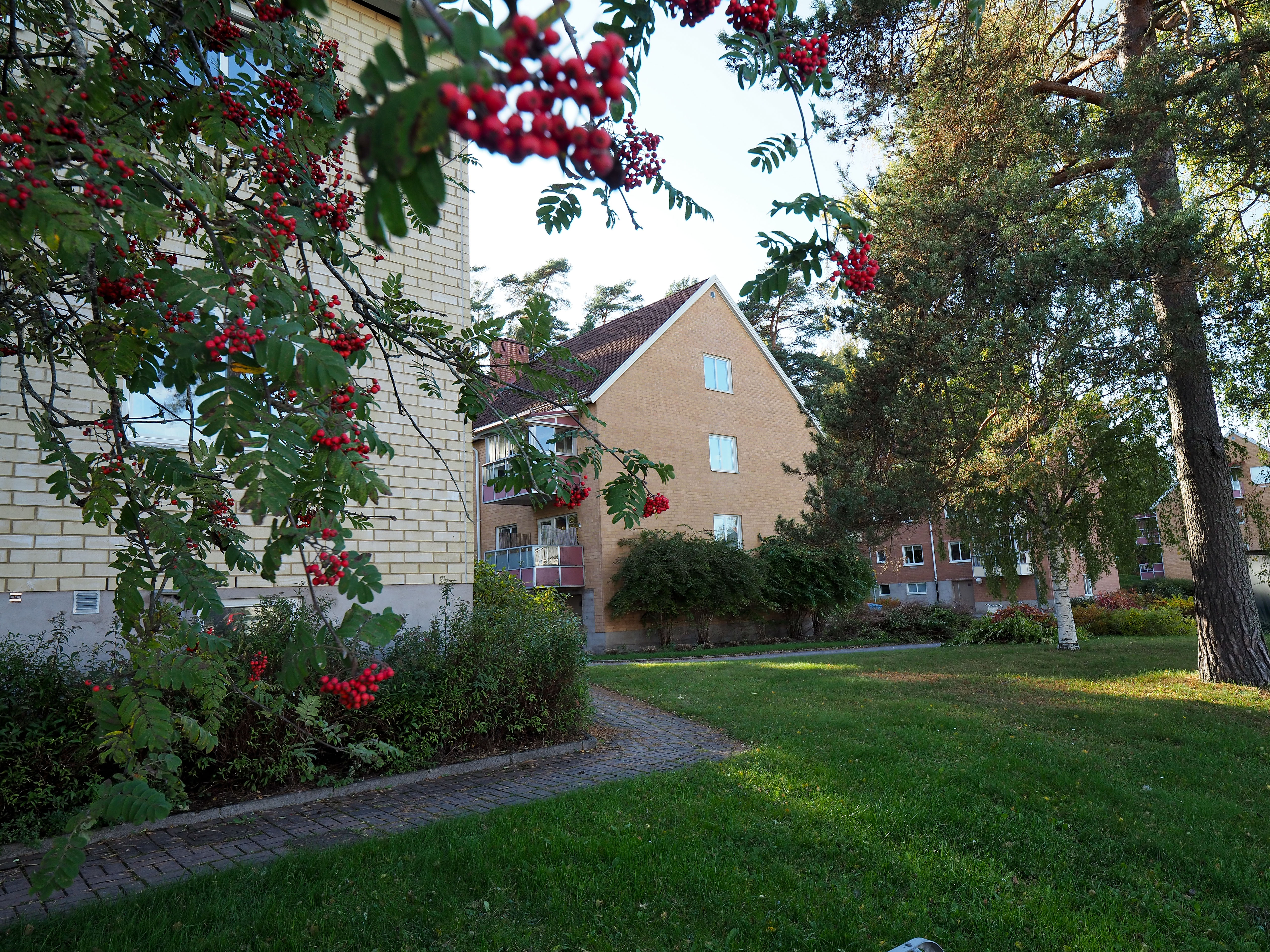 Åsgatan 40