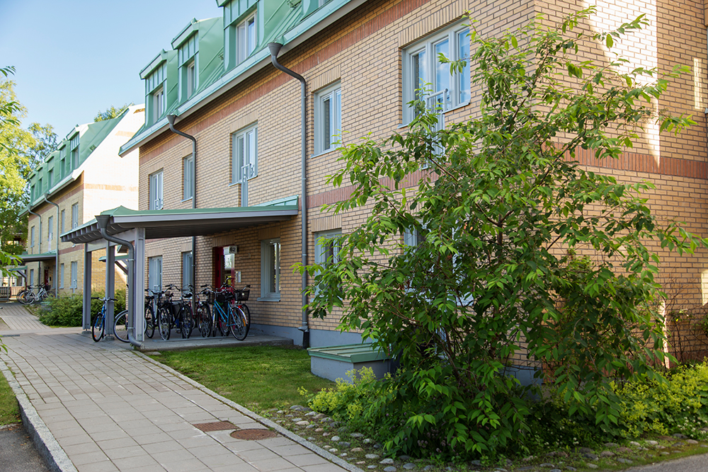 Nygatan 62
