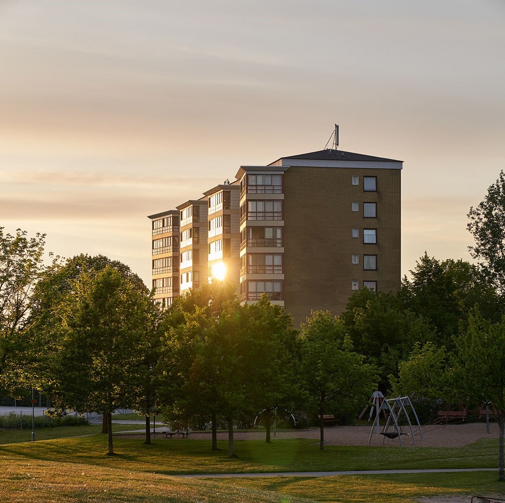Rapsvägen 137