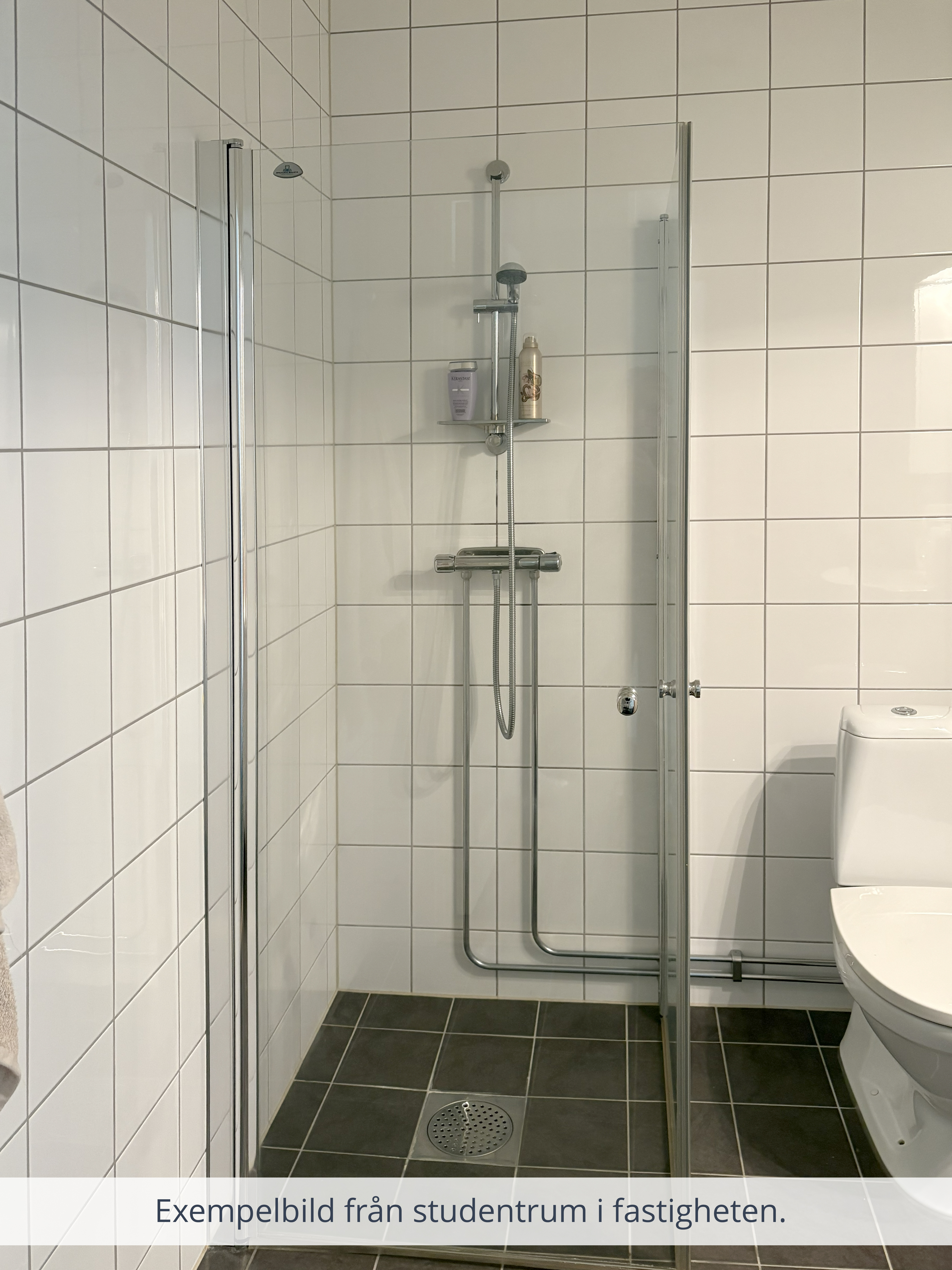 Karlsdalsallén 58- B – bild 9