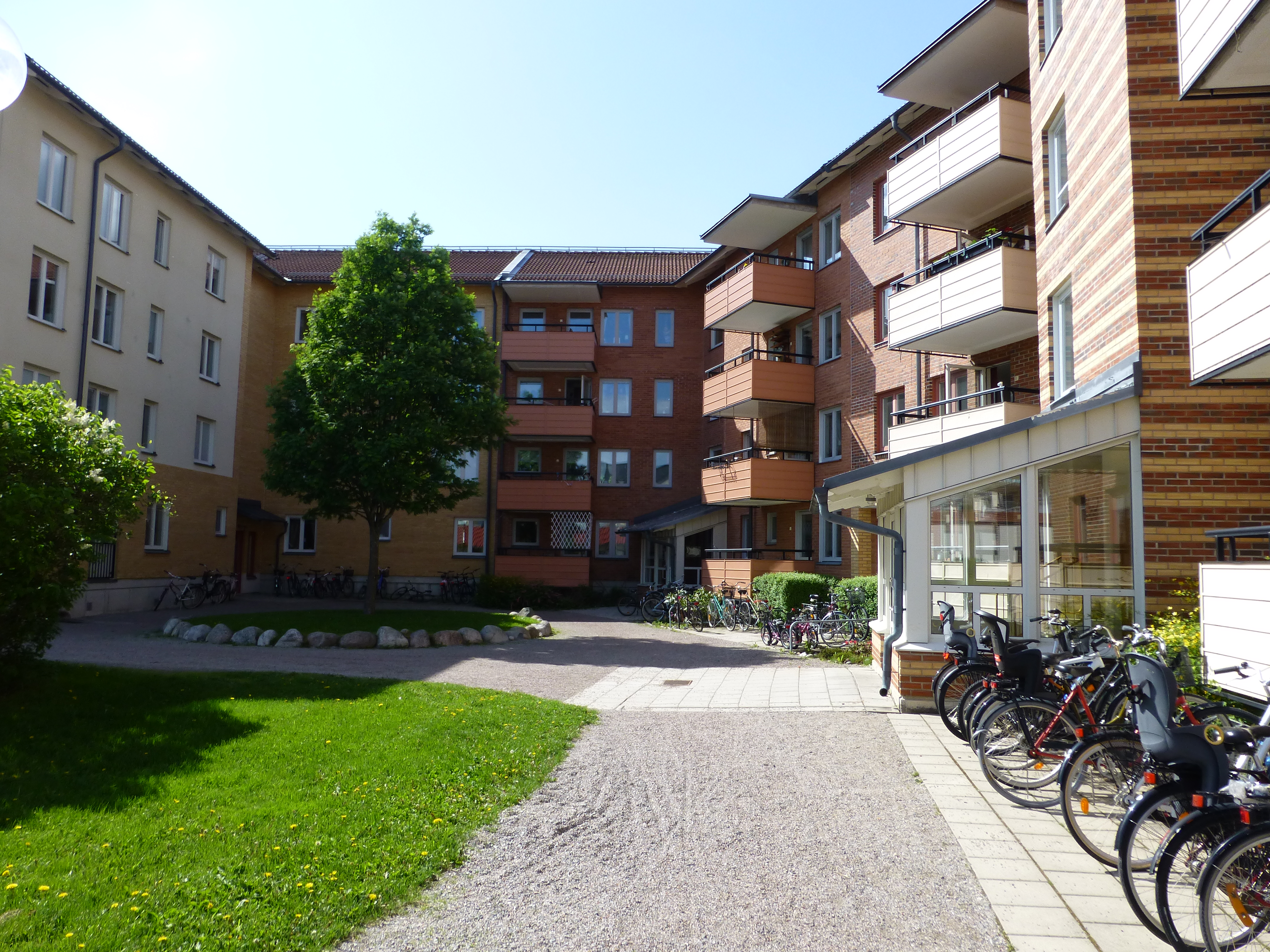 Landbotorpsallén  52