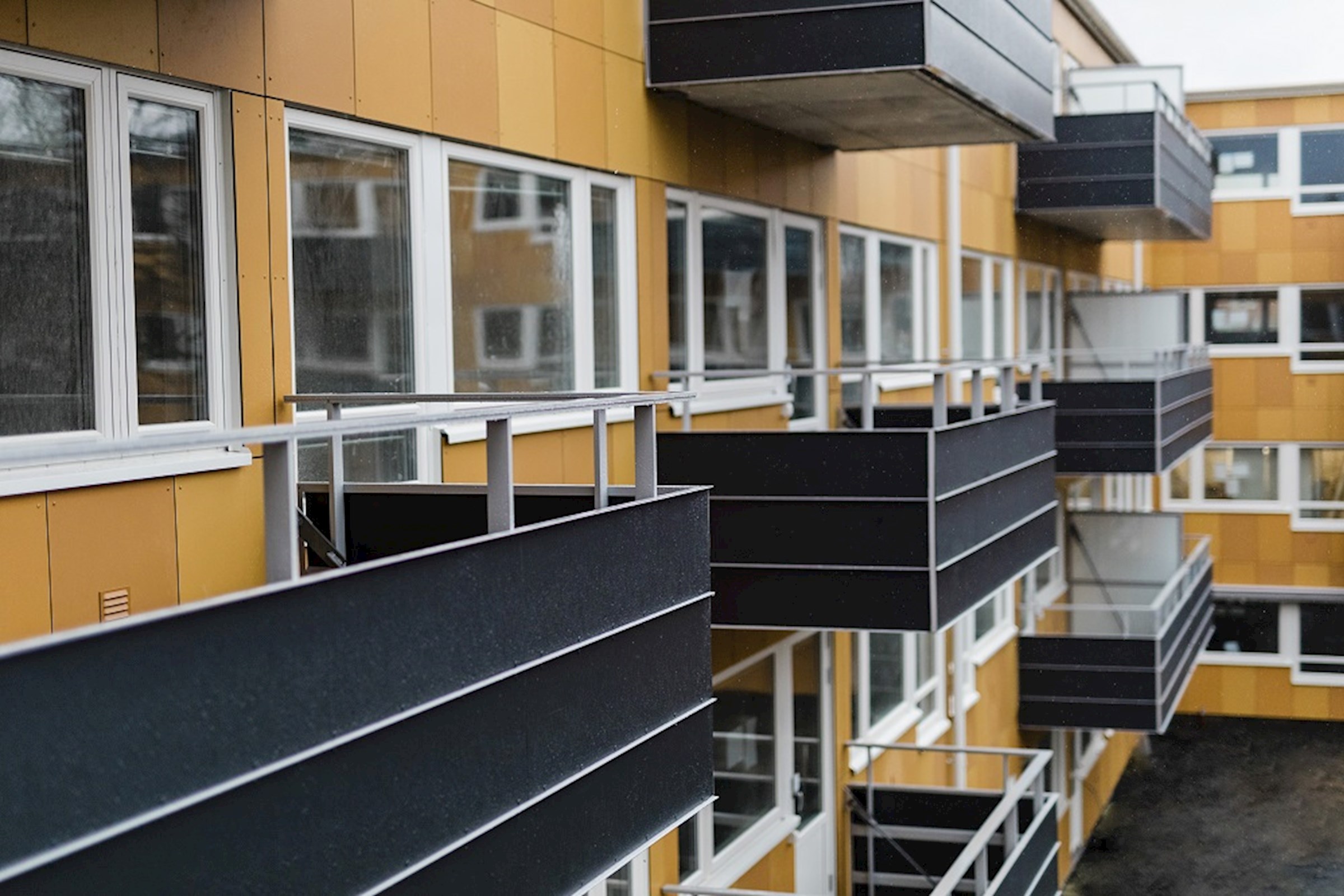 Studiegången 14