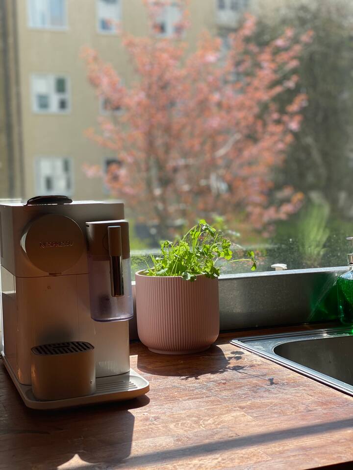 Lägenhet, 2 rooms, 54 sqm, Malmö – bild 6