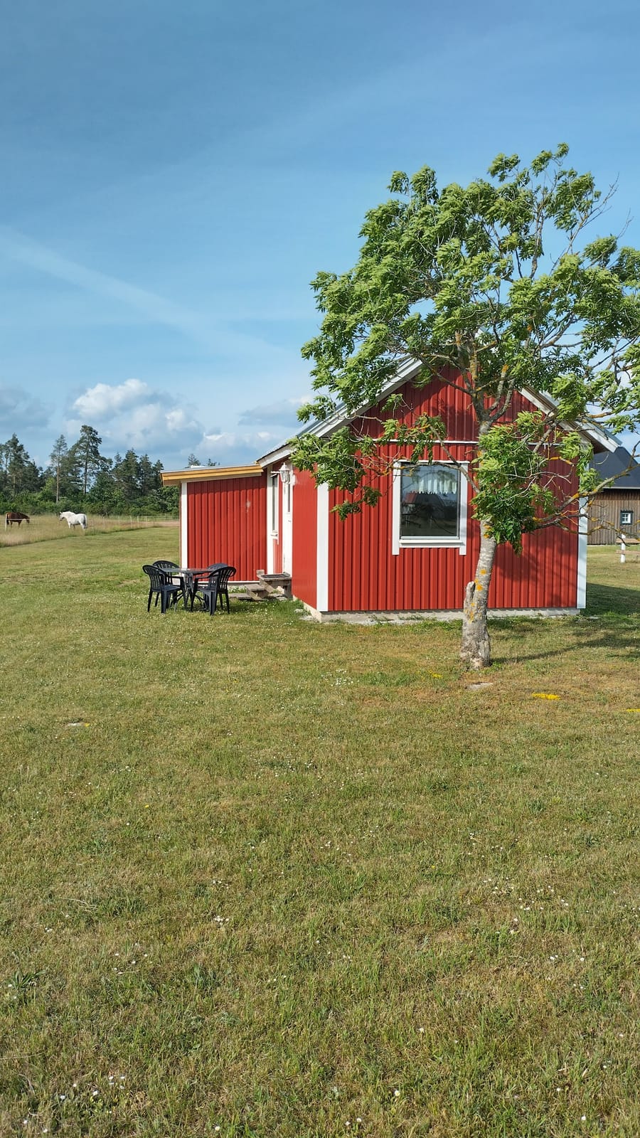 3 rok · 42 m² i Visby – bild 4