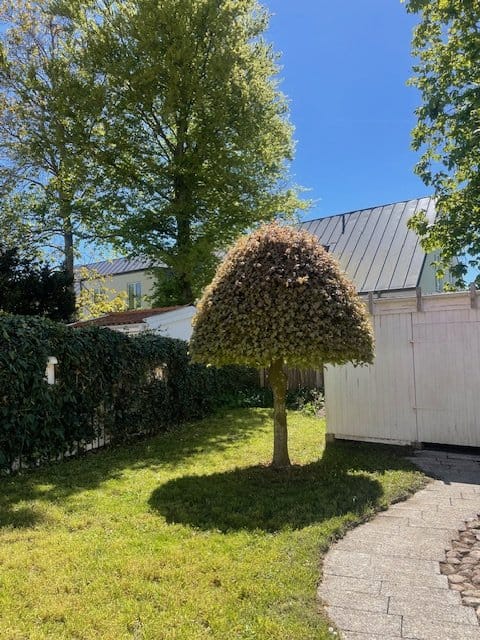 5 rok · 125 m² i Falsterbo – bild 6
