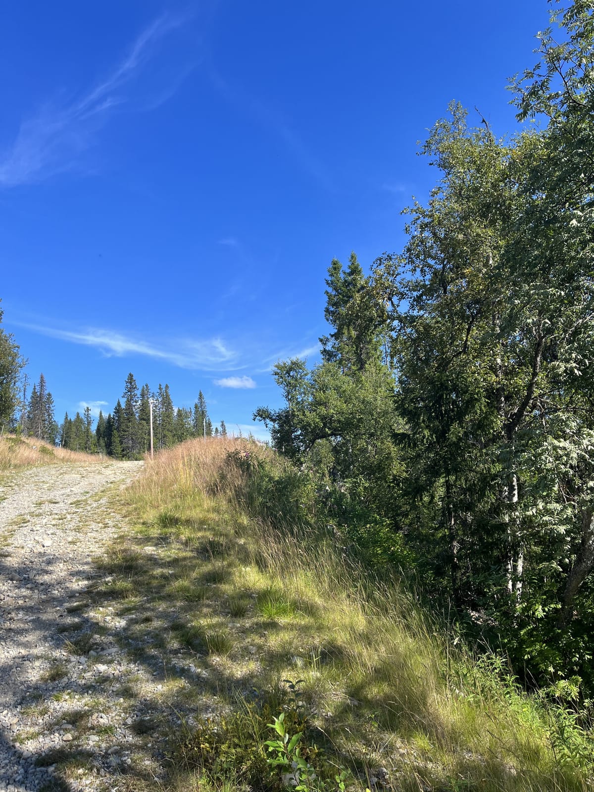 2 rok · 51 m² i Vemdalen – bild 21