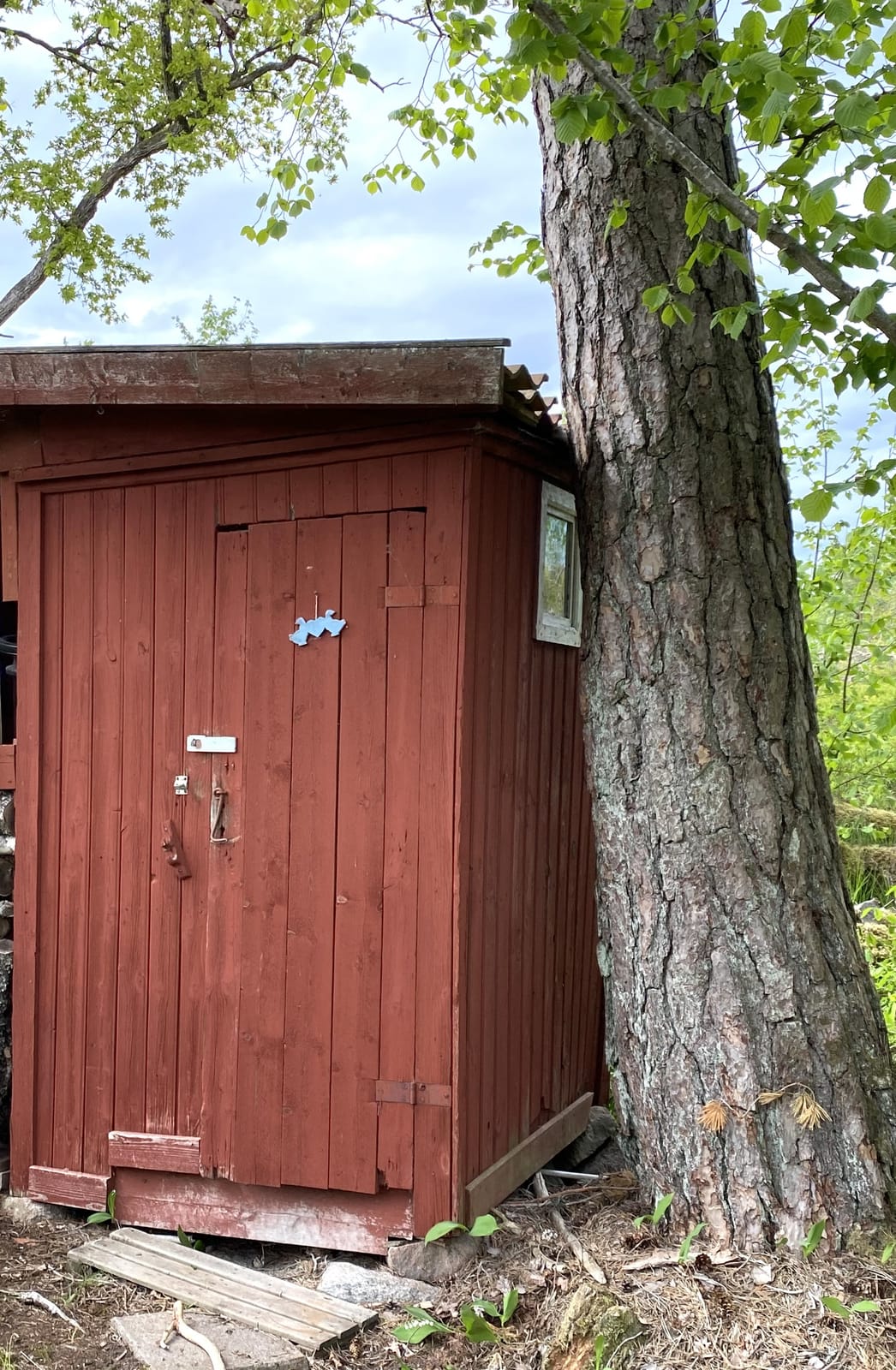 3 rok · 46 m² i Norrtälje – bild 12