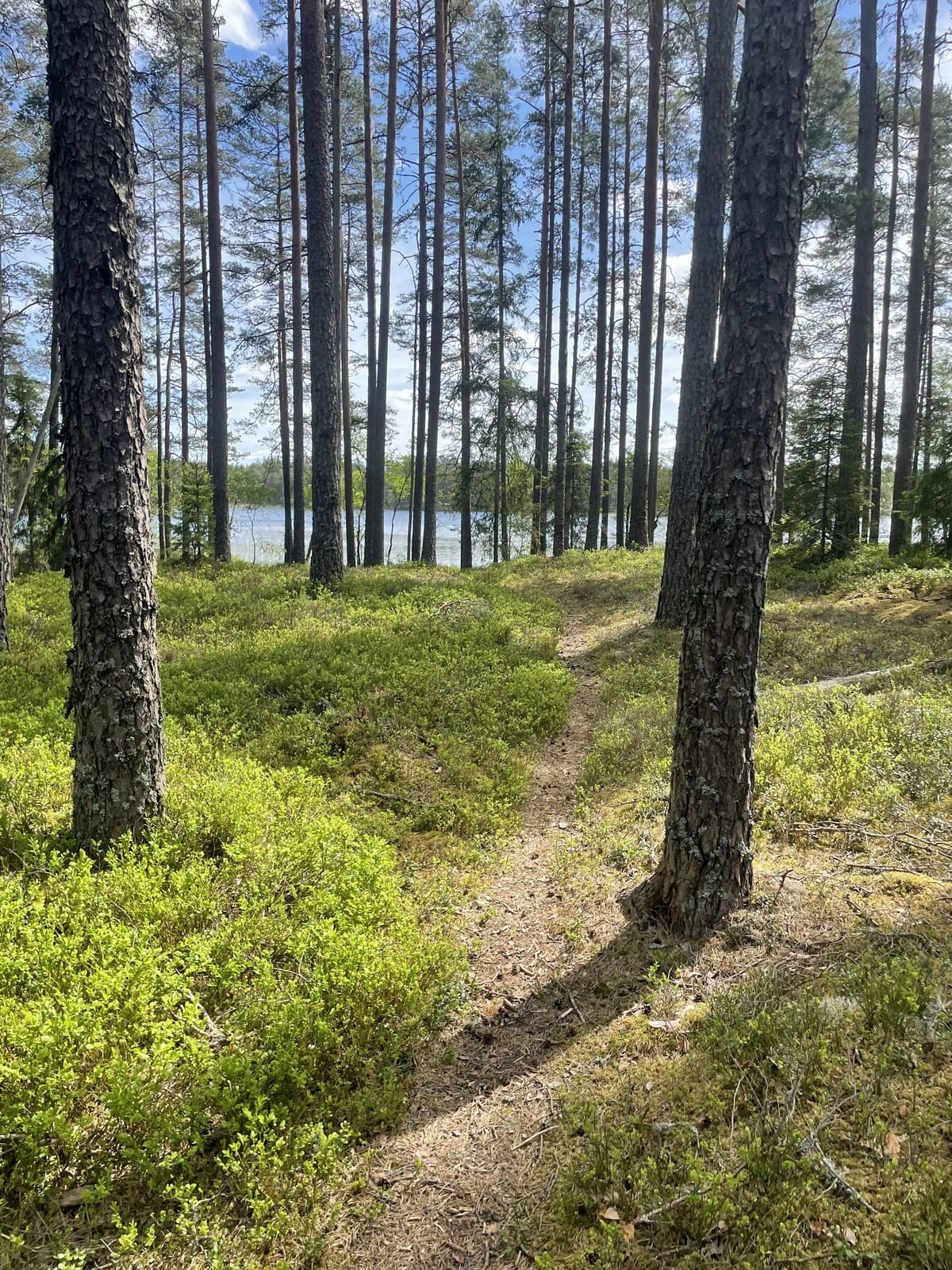 3 rok · 55 m² i Jönköping – bild 12