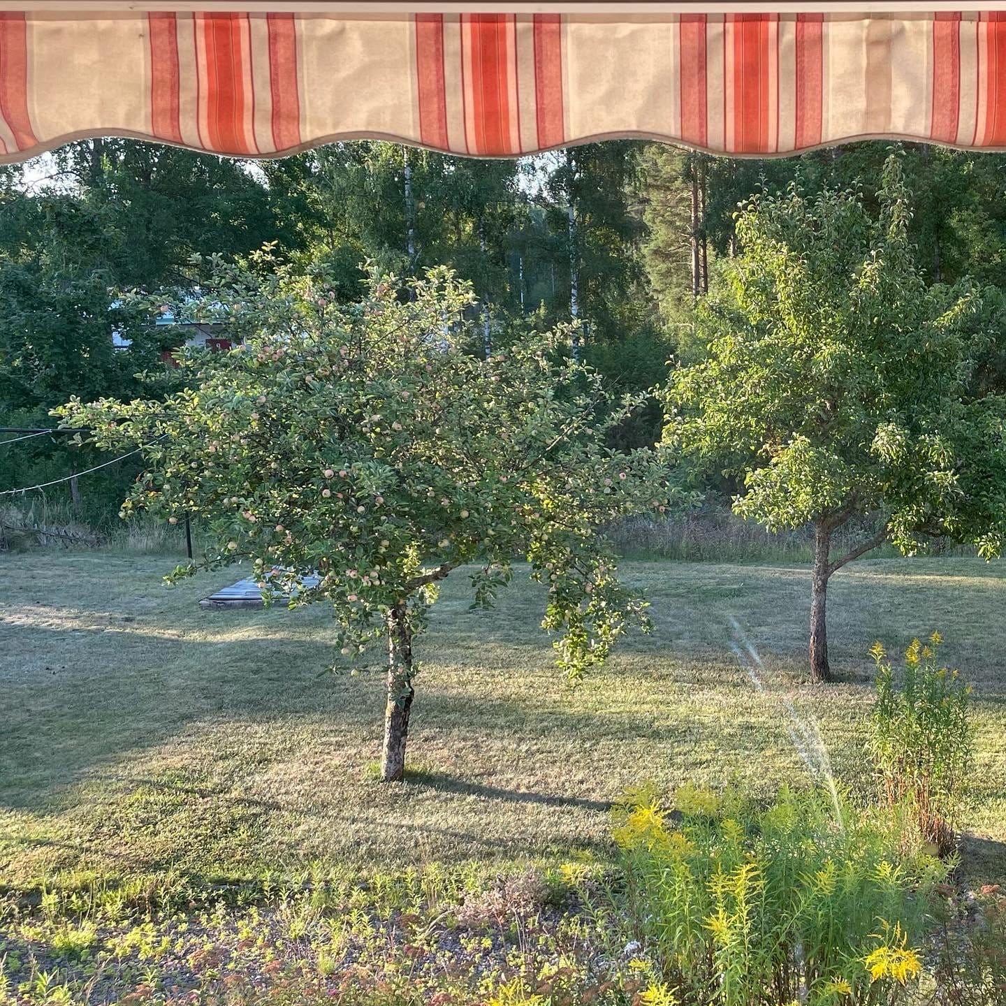 5 rok · 130 m² i Lönneberga – bild 25