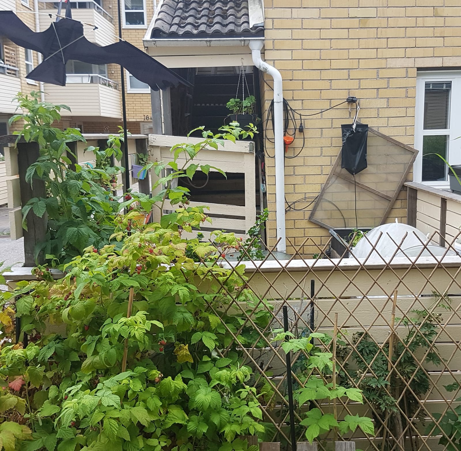 Lägenhet, 2 rooms, 55 sqm, Täby