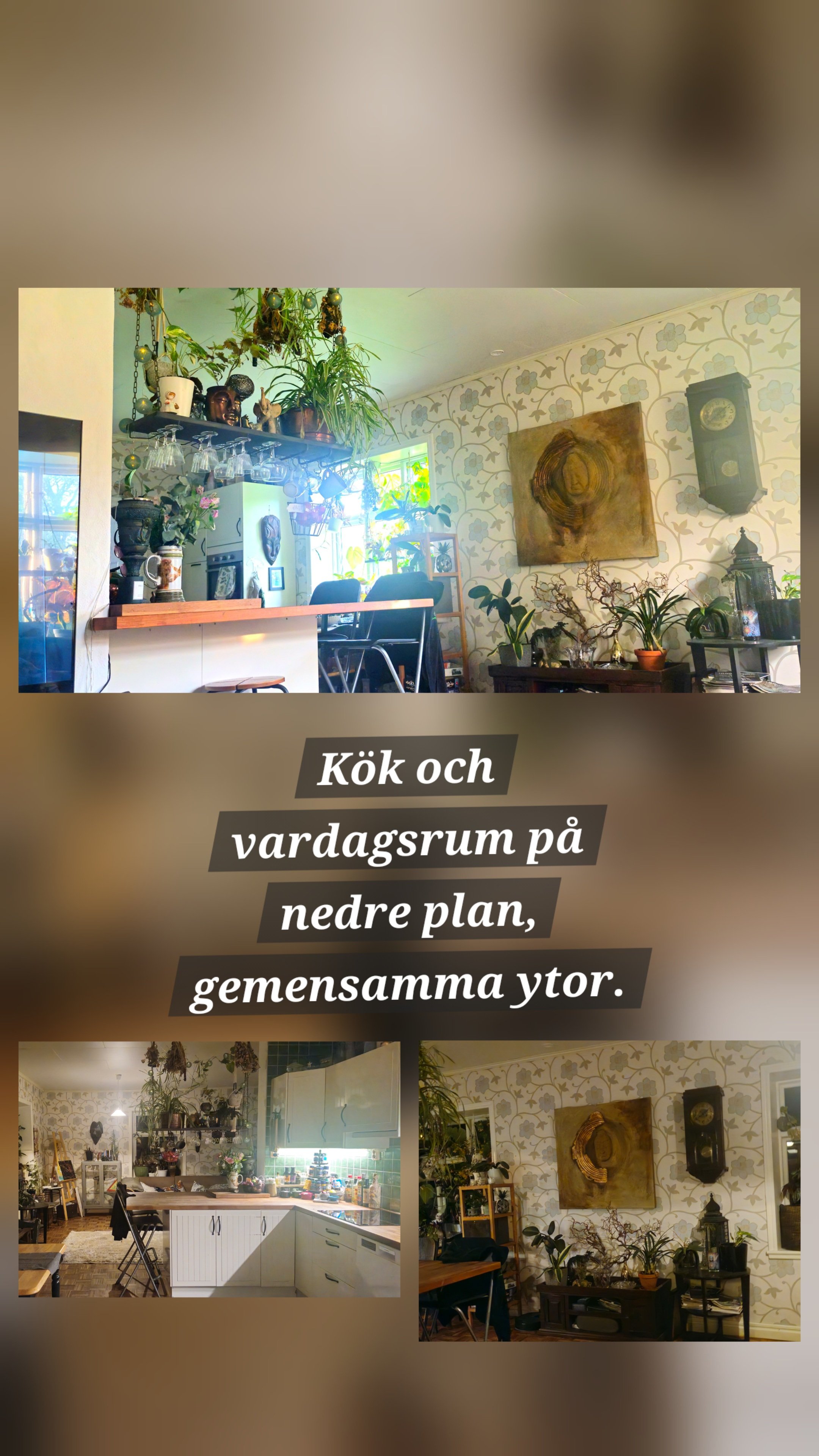 Villa/Hus, 2 rooms, 18 sqm, Höör – bild 3