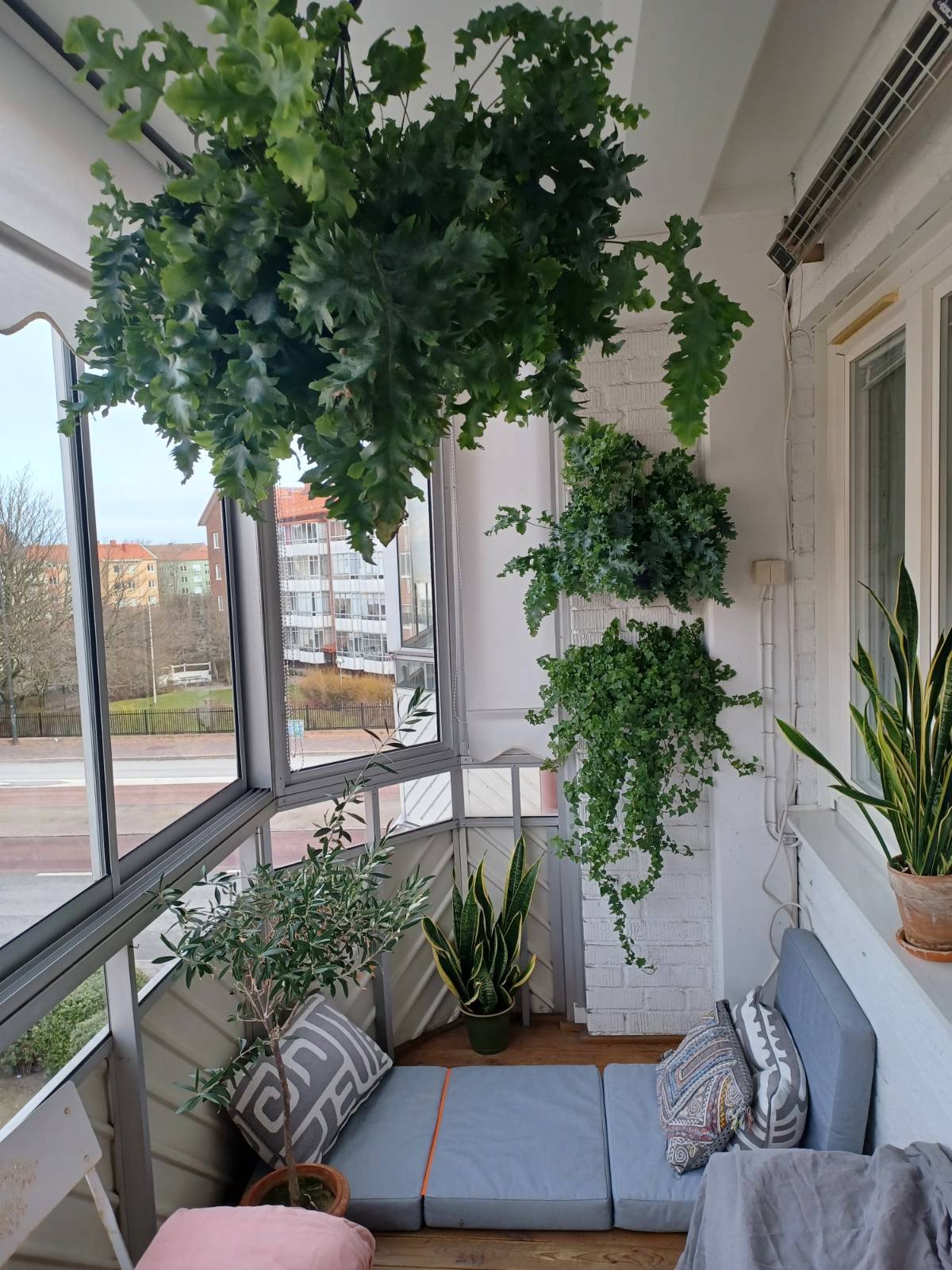 Lägenhet, 2 rooms, 52 sqm, Malmö