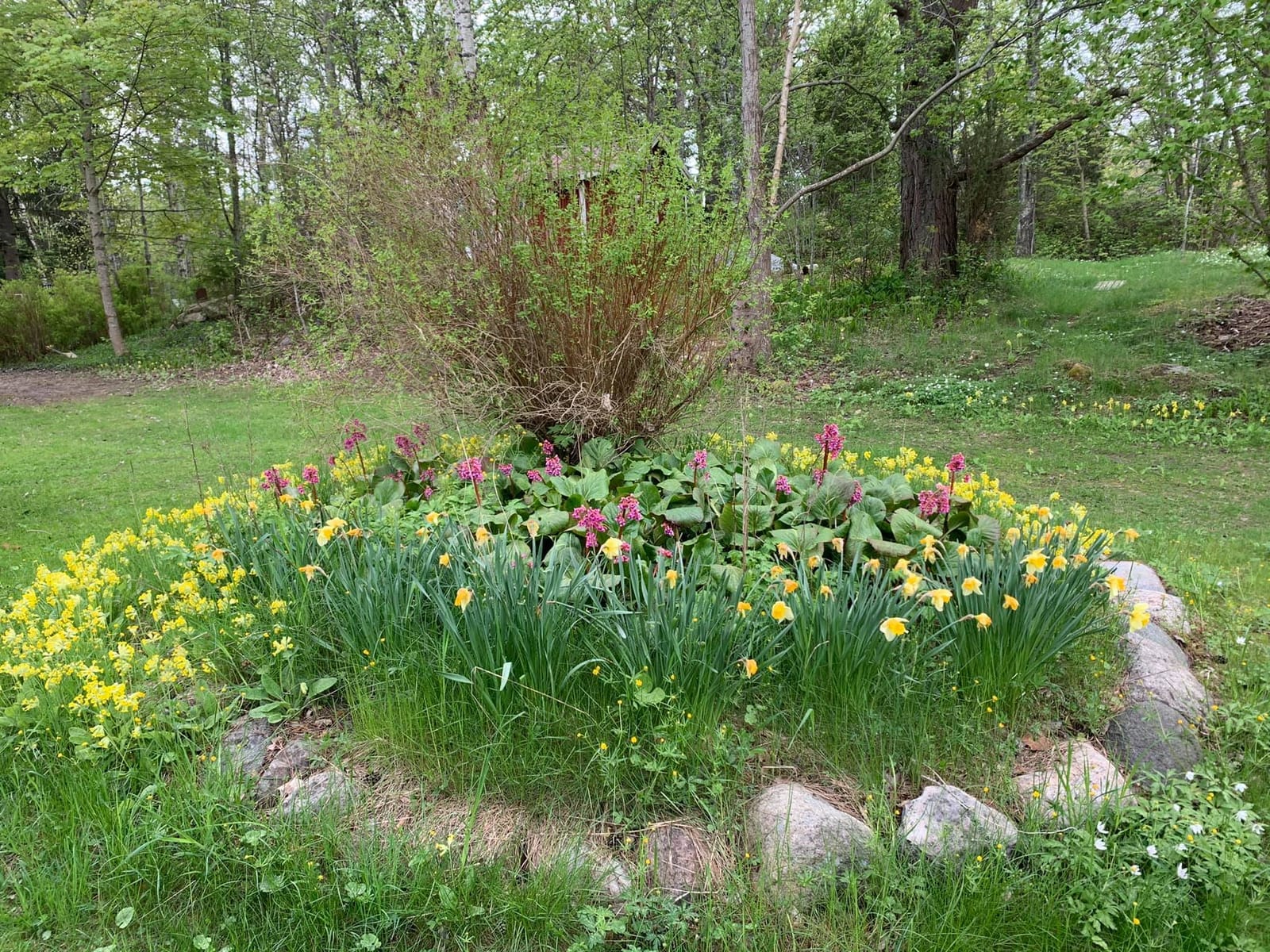 2 rok · 40 m² i Väddö – bild 17