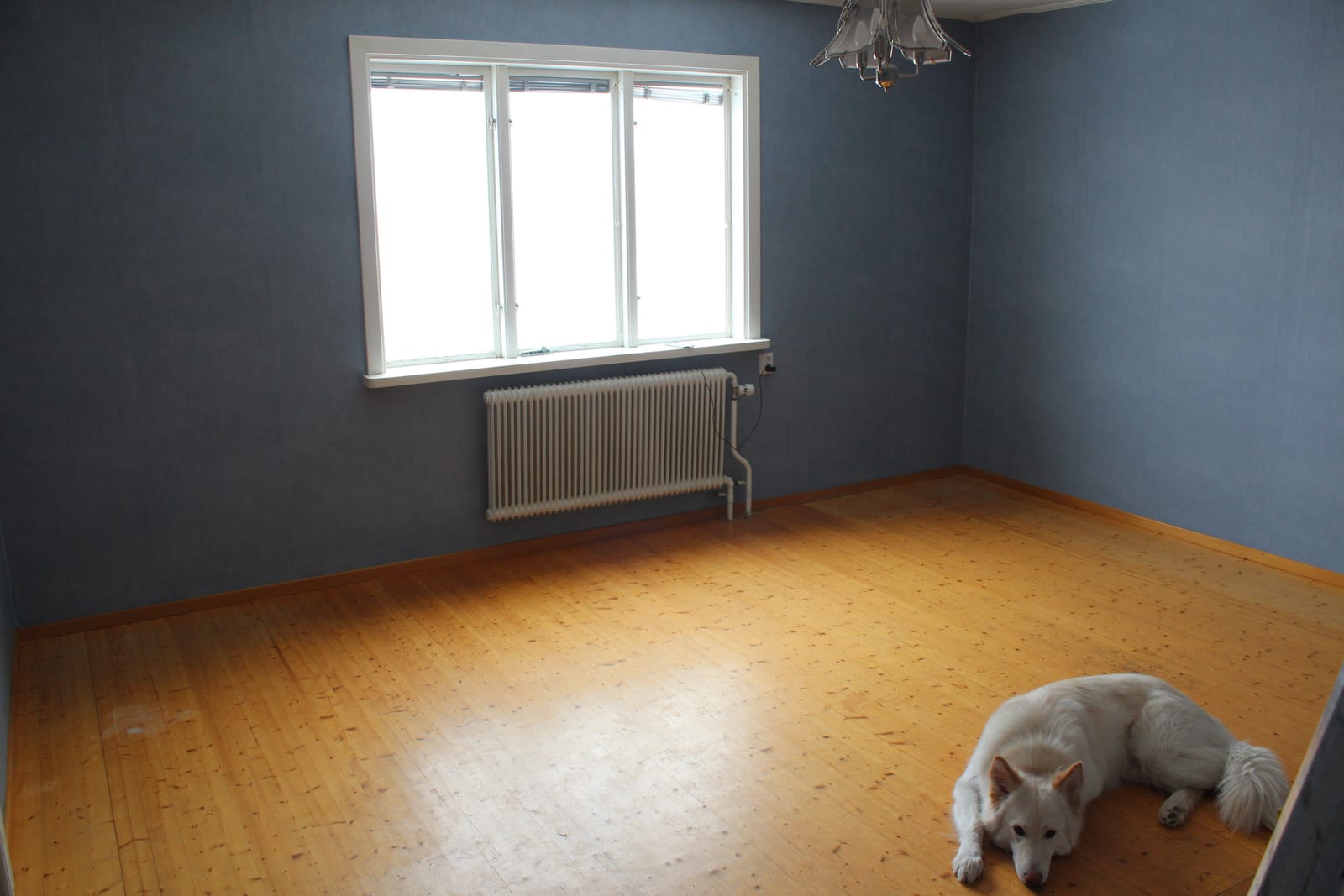 3 rok · 75 m² i Boliden – bild 9