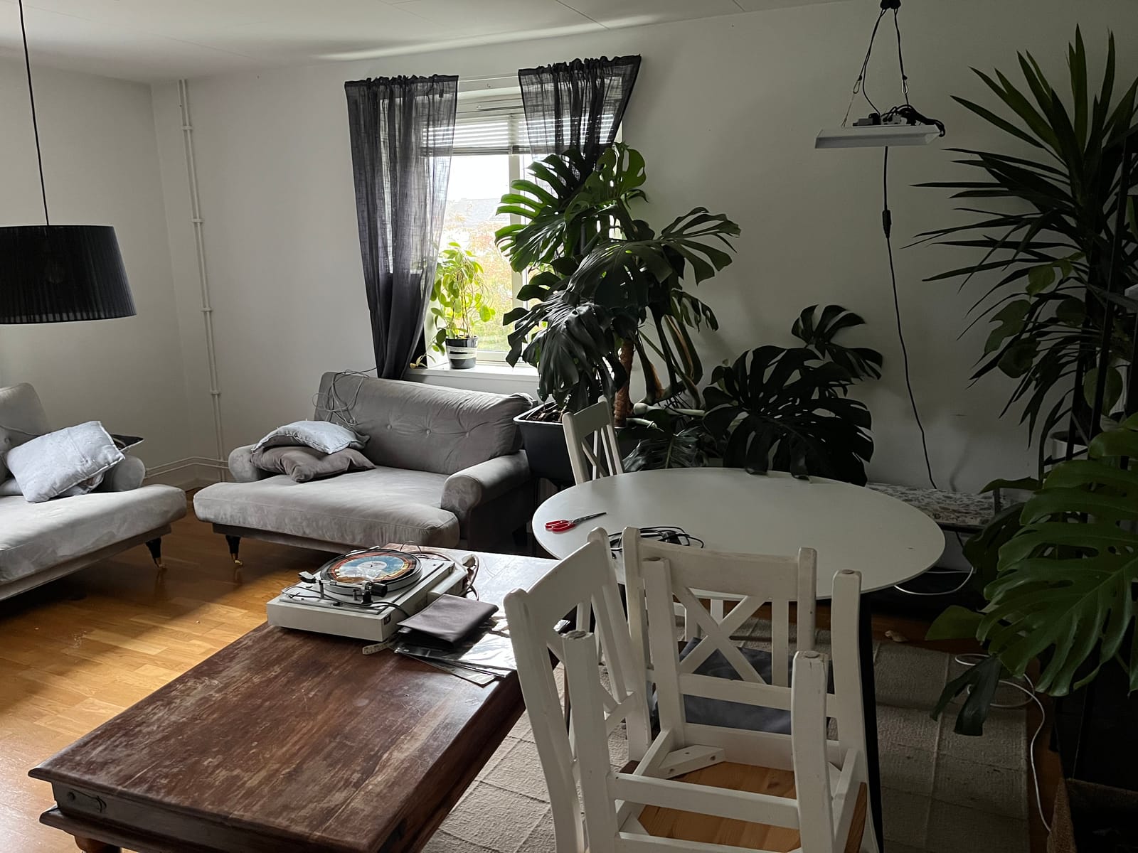 3 rok · 70 m² i Borås – bild 2