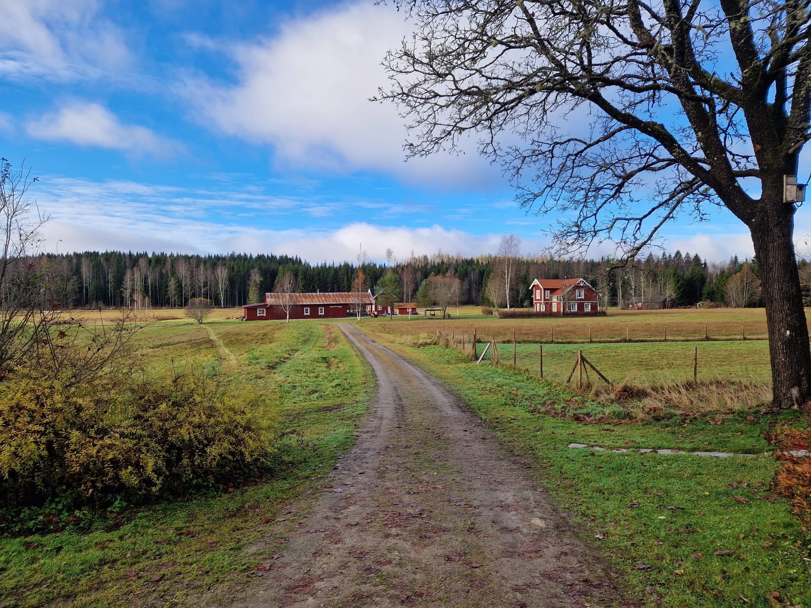 4 rok · 90 m² i Lakene – bild 6