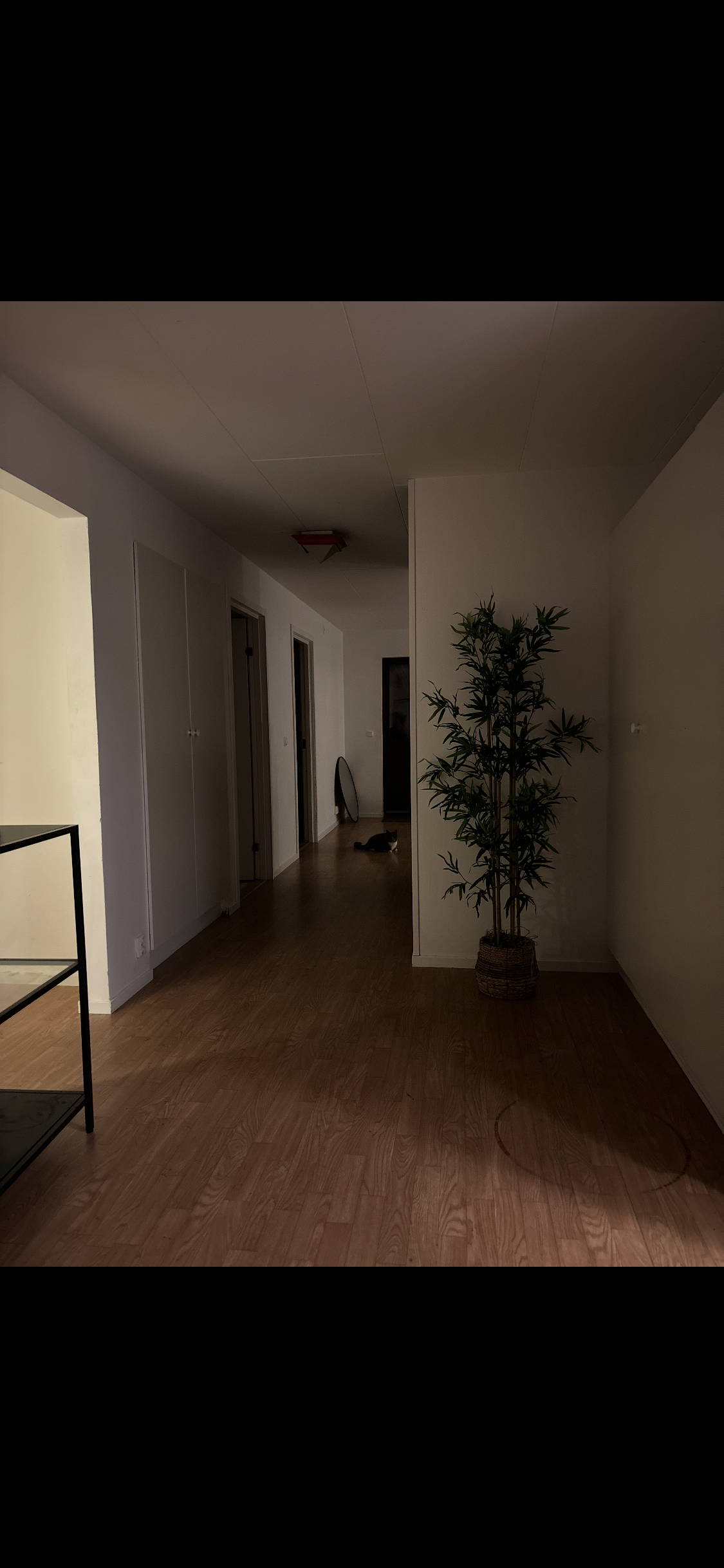 Lägenhet, 5 rooms, 155 sqm, Billesholm – bild 8