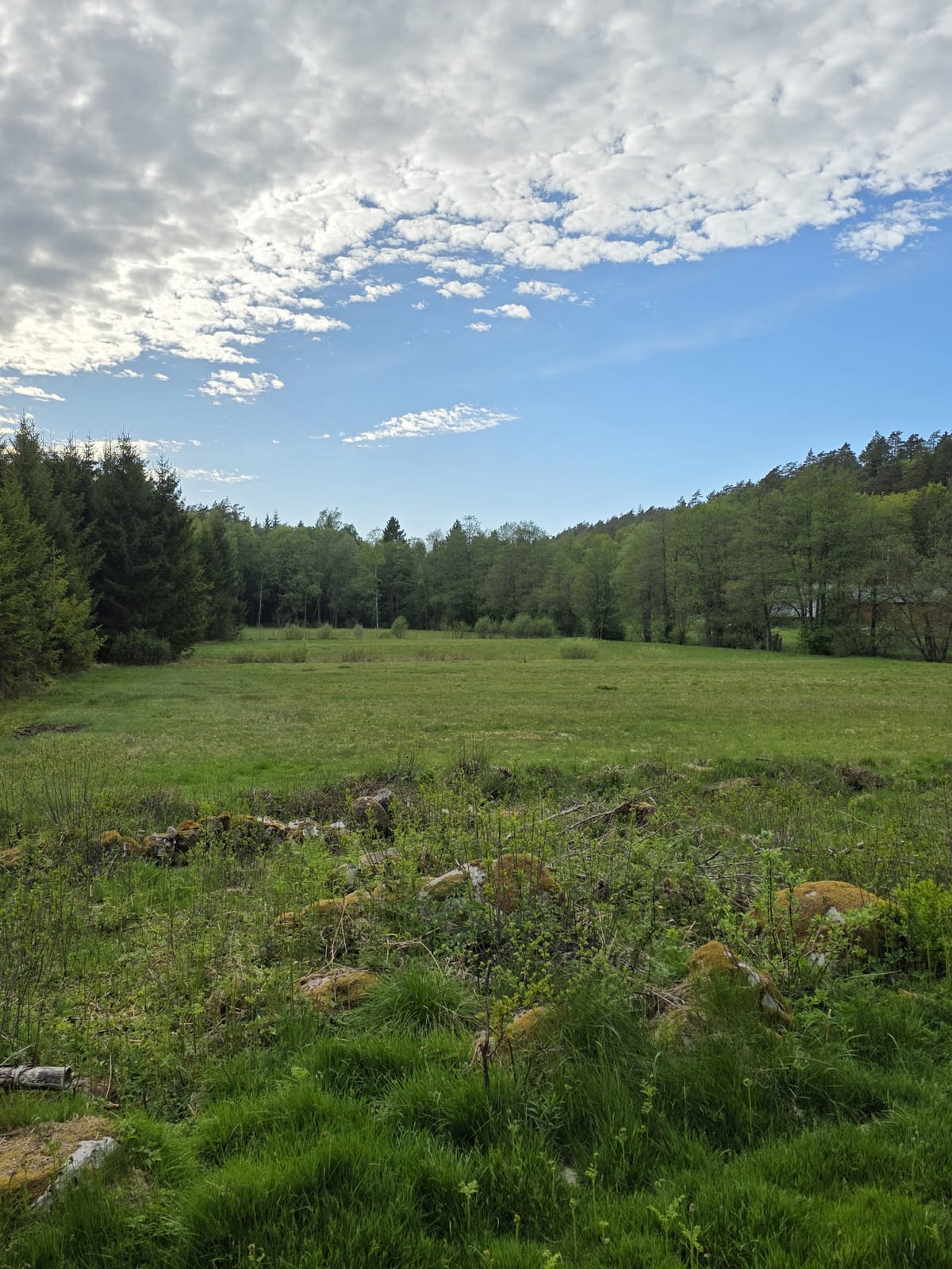 4 rok · 89 m² i Spekeröd – bild 4