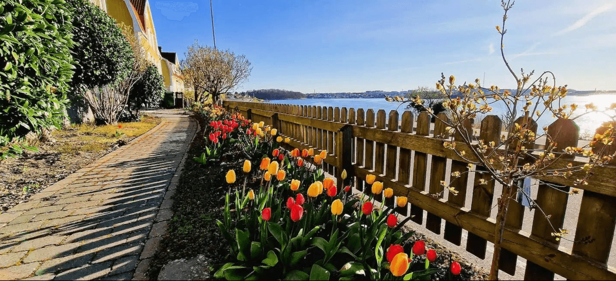 7 rok · 219 m² i Karlskrona – bild 2