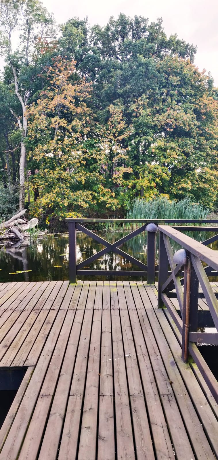 3 rok · 70 m² i Tollarp – bild 16