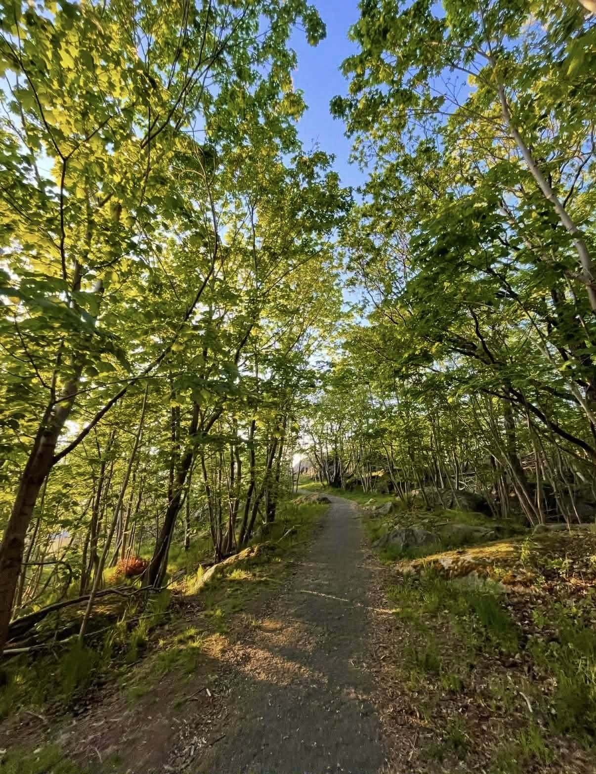 2 rok · 40 m² i Göteborg – bild 13