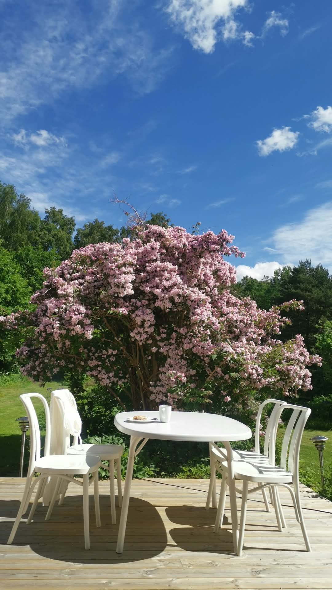 3 rok · 59 m² i Bålsta – bild 4