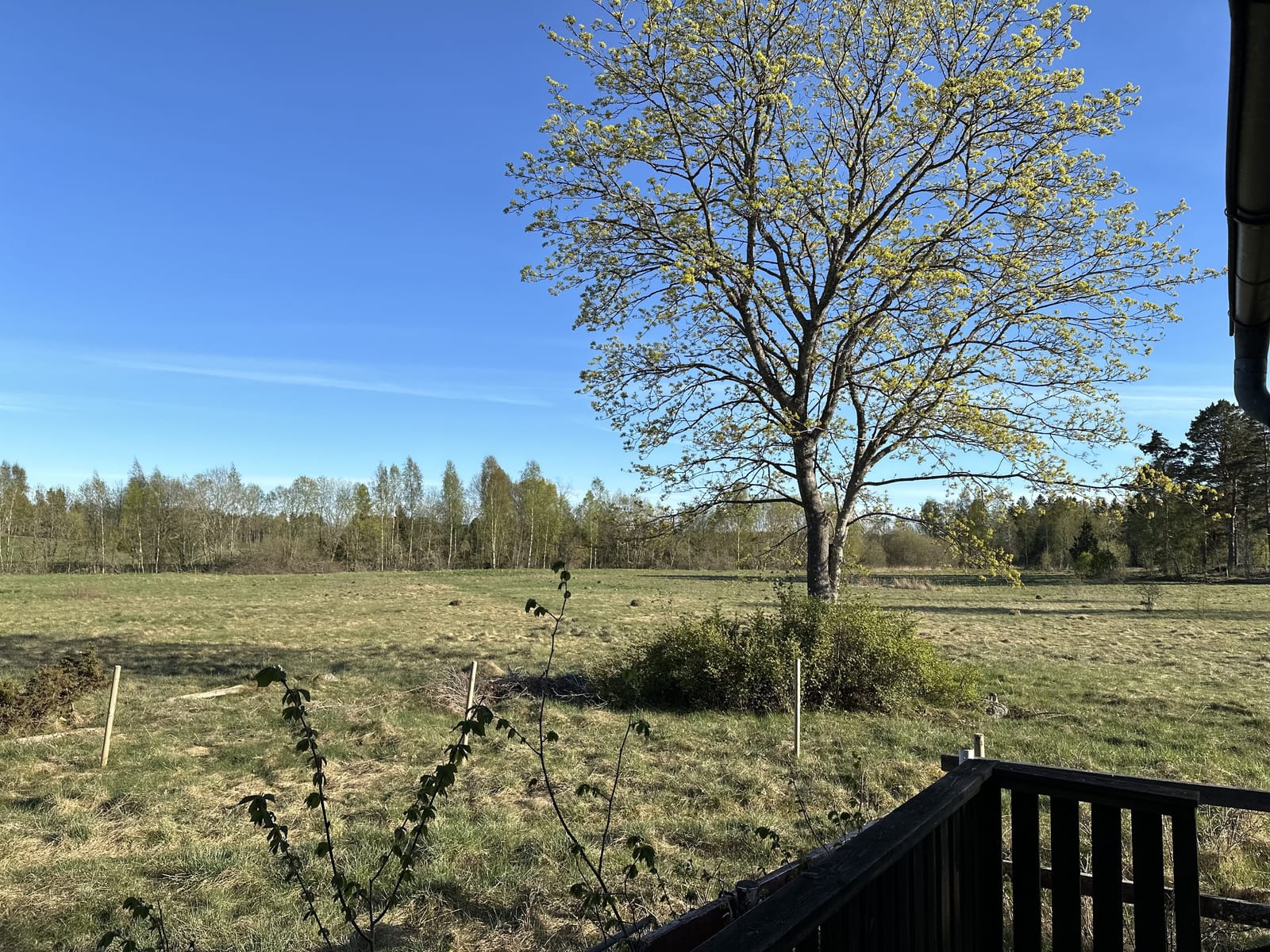 2 rok · 18 m² i Väddö – bild 11
