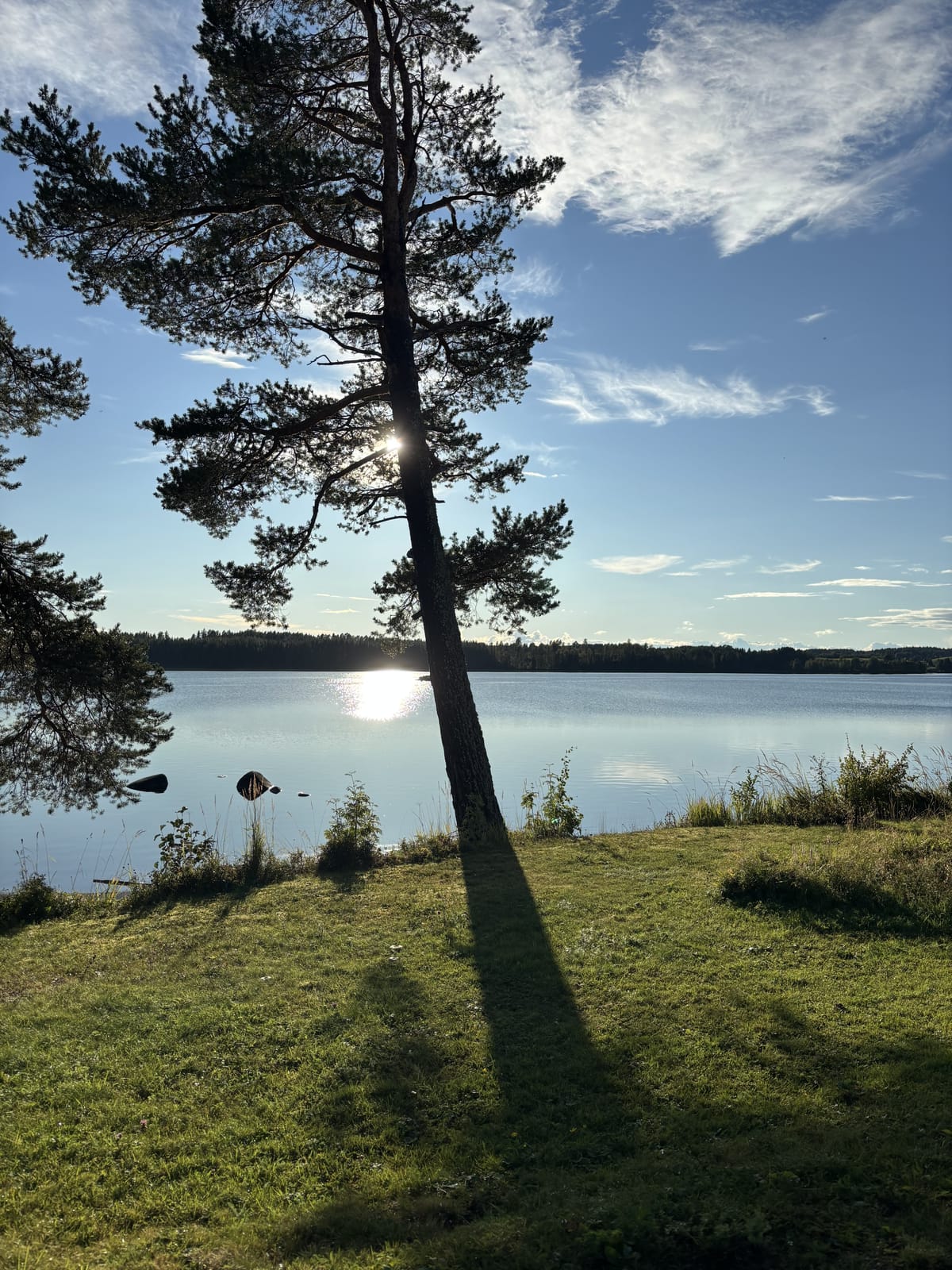 5 rok · 138 m² i Dvärsätt – bild 21
