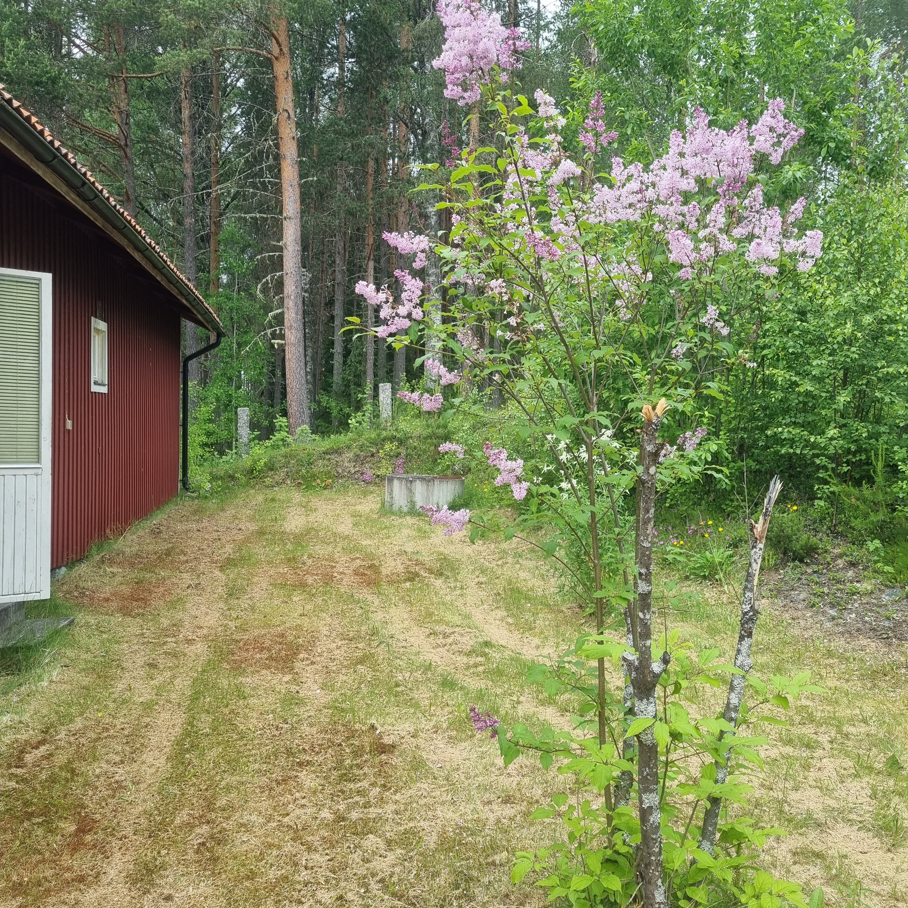 Villa/Hus, 3 rooms, 74 sqm, Sveg – bild 4